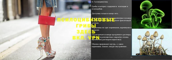 mdpv Горно-Алтайск