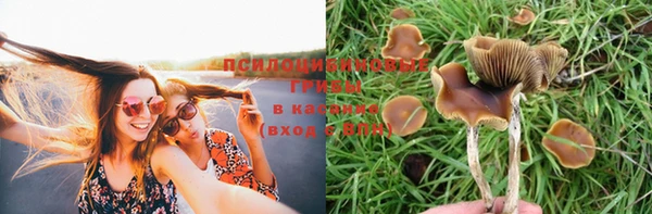 героин Горняк
